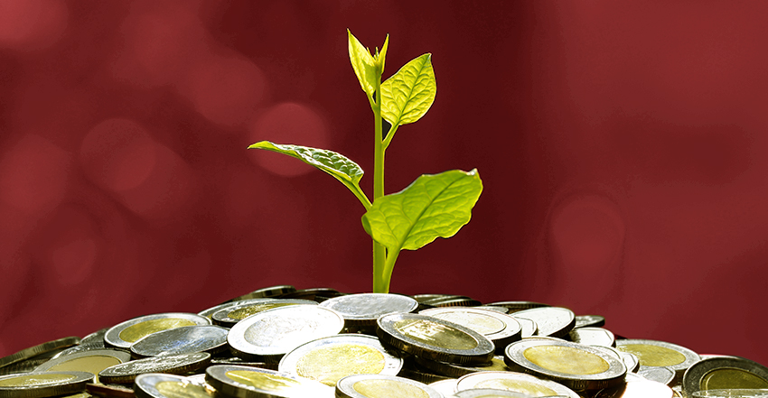Tipos de investimento financeiro: dicas para empreendedores! - IDEBRASIL