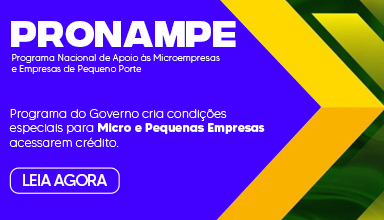 Pronampe: Entenda o programa e saiba como solicitar - IDEBRASIL